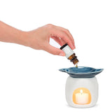 Seashell Oil Warmer