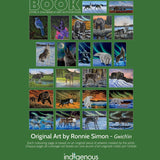 Indigenous Art Colouring Book By Ronnie Simon