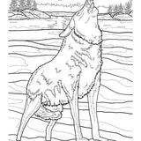 Indigenous Art Colouring Book By Ronnie Simon