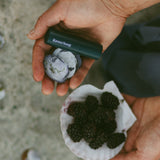 Blackberry Hydrating Lip Butter Balm