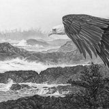 Shore Patrol - Bald Eagle by Kevin Johnson | Art Card