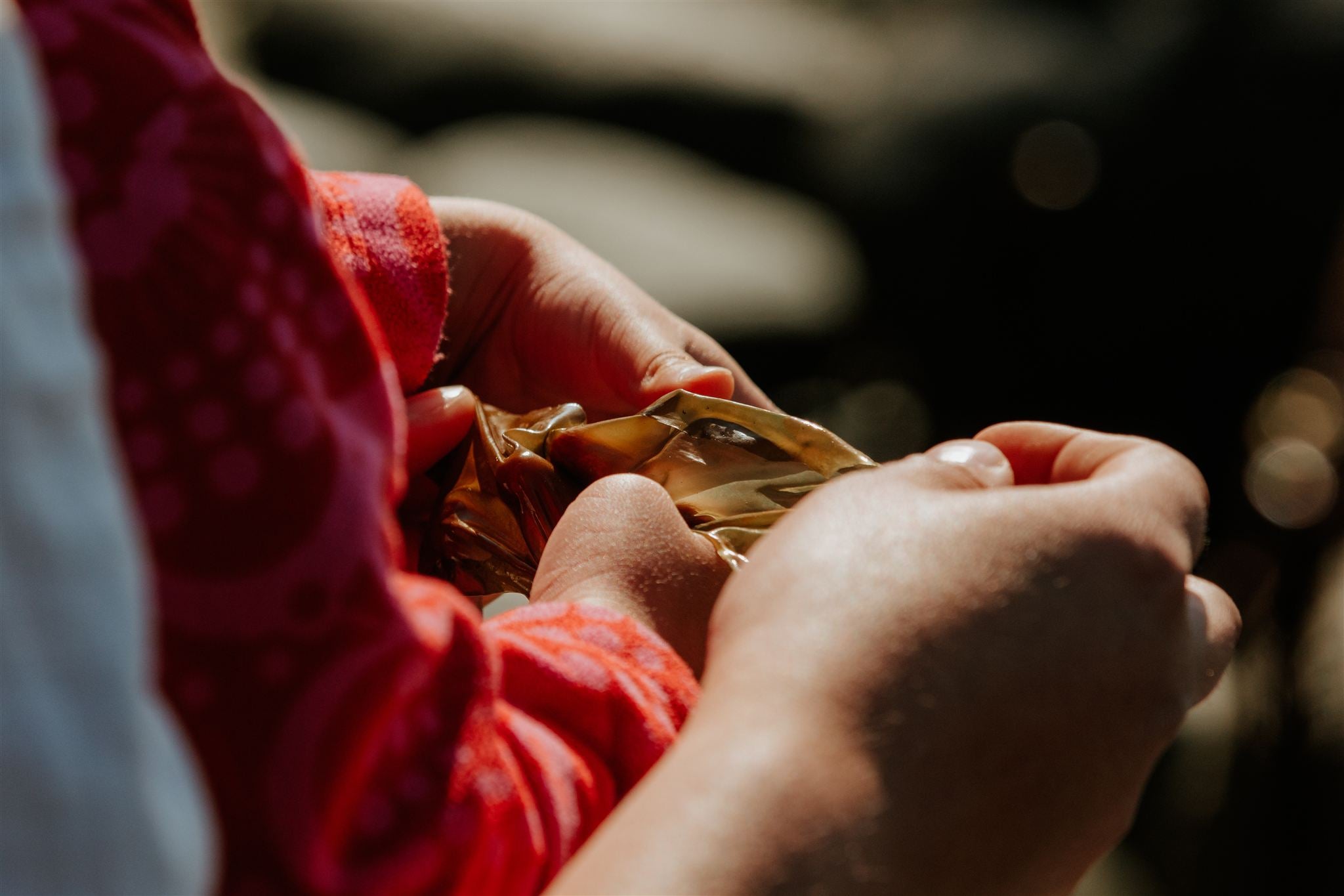 Where Plant Medicine meets Modern Science: Wild-harvested Kelp Research with Seneca Polytechnic