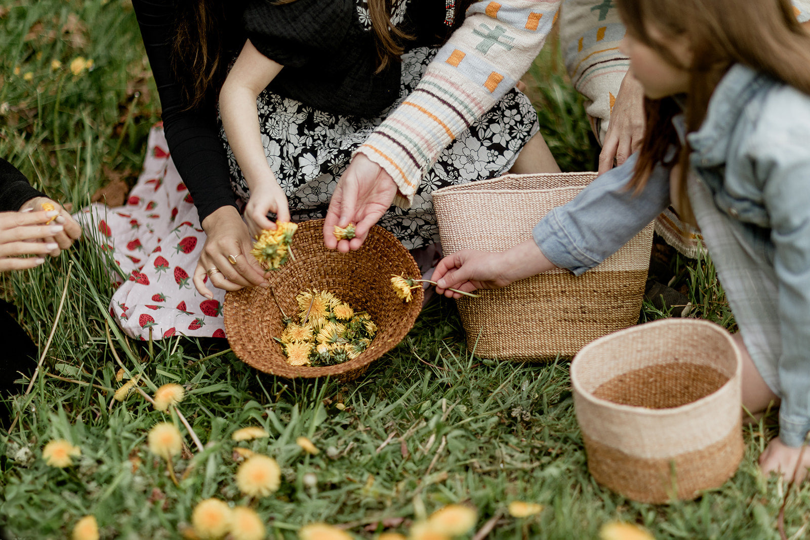 Sold Out, As It Should Be: On RavenSong’s Botanical Soap Collection