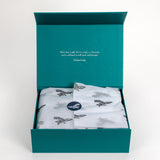 Rainsong Artisan Gift Box | Sea Salt + Agave + Vetiver