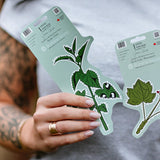 Nettle First Nation Artwork Sticker