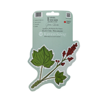 First Nations Devils Club Harvest Stcker