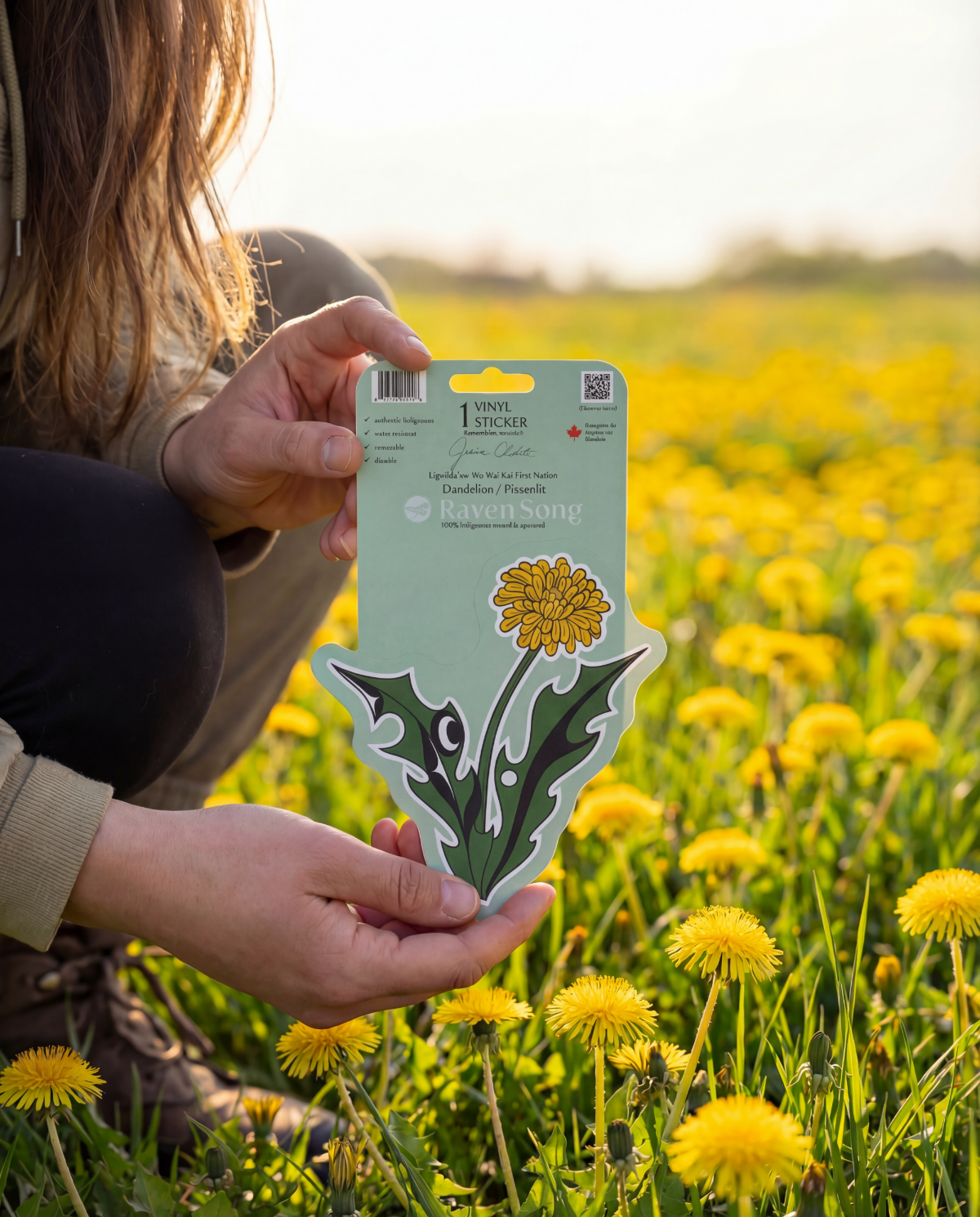 Indigenous Dandelion Harvest Sticker