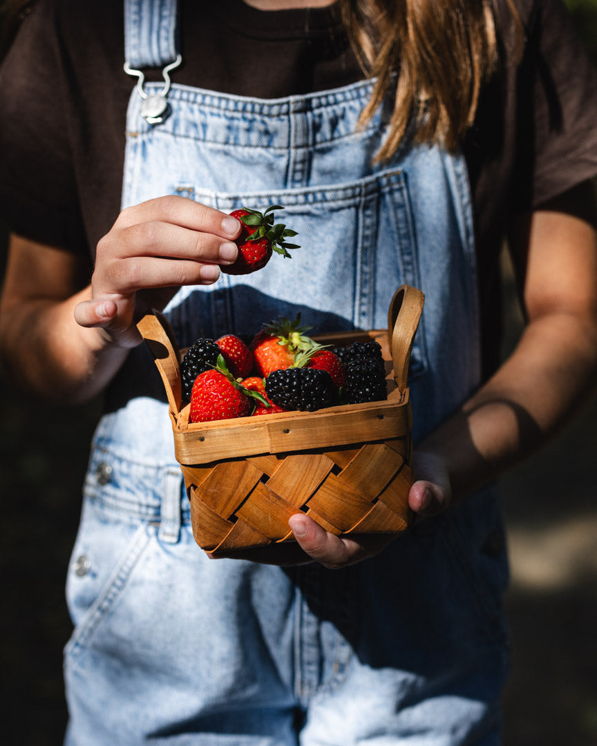 Basket of Berries in Cedar woven basket by Indigenous Wellness Brand Ravensong based on Vancouver Island