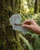 Fern Woman By Jessica Chickite, Ligwilda'xw, We Wai Kai First Nation | Vinyl Sticker