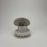 Double Clam Shell Dish