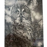 THE HUNTRESS - GREAT GRAY OWL - ARTWORK CARD by KEVIN JOHNSON