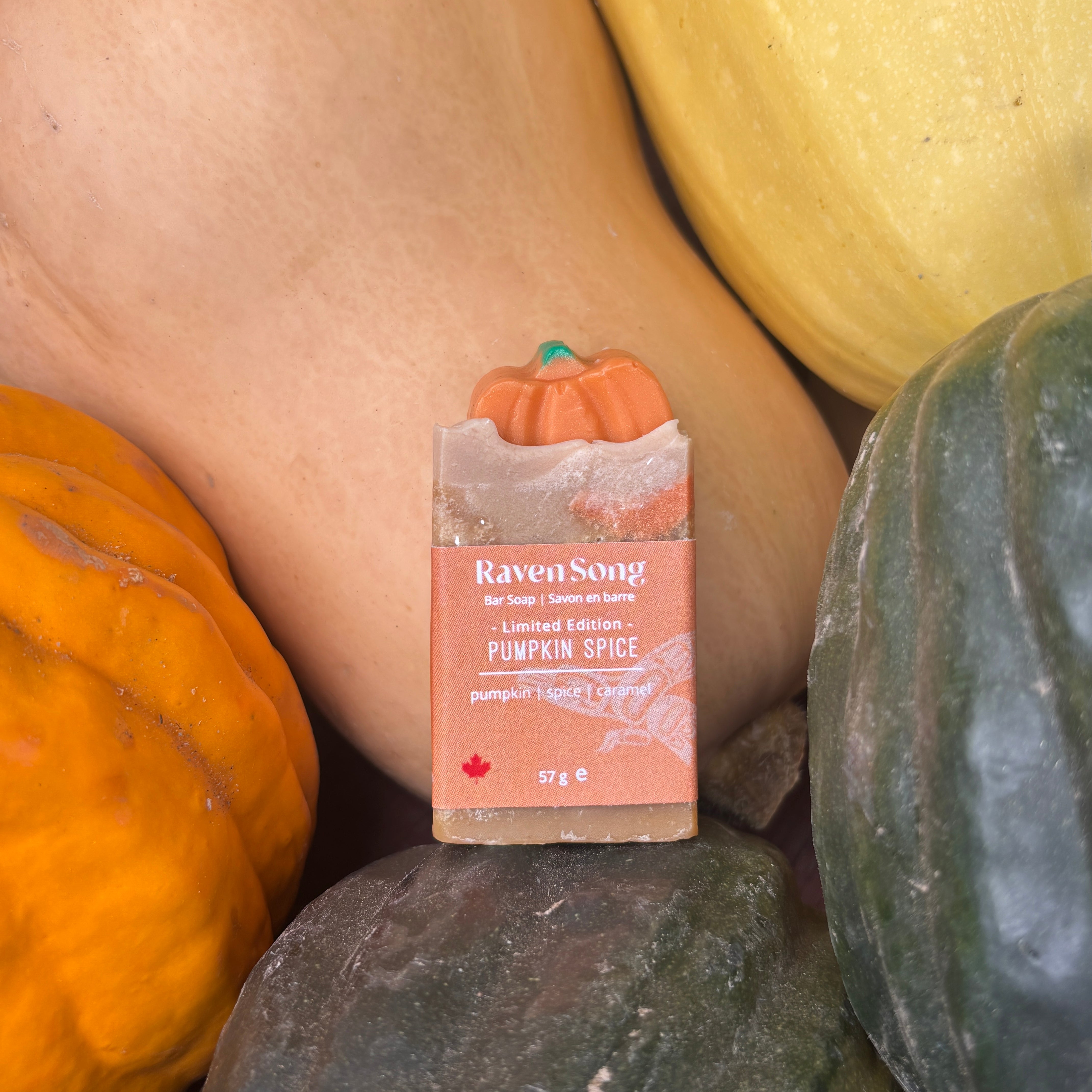 Pumpkin Spice Soap | Roasted Pumpkin + Warm Spice + Sweet Caramel