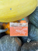 Pumpkin Spice Soap | Roasted Pumpkin + Warm Spice + Sweet Caramel