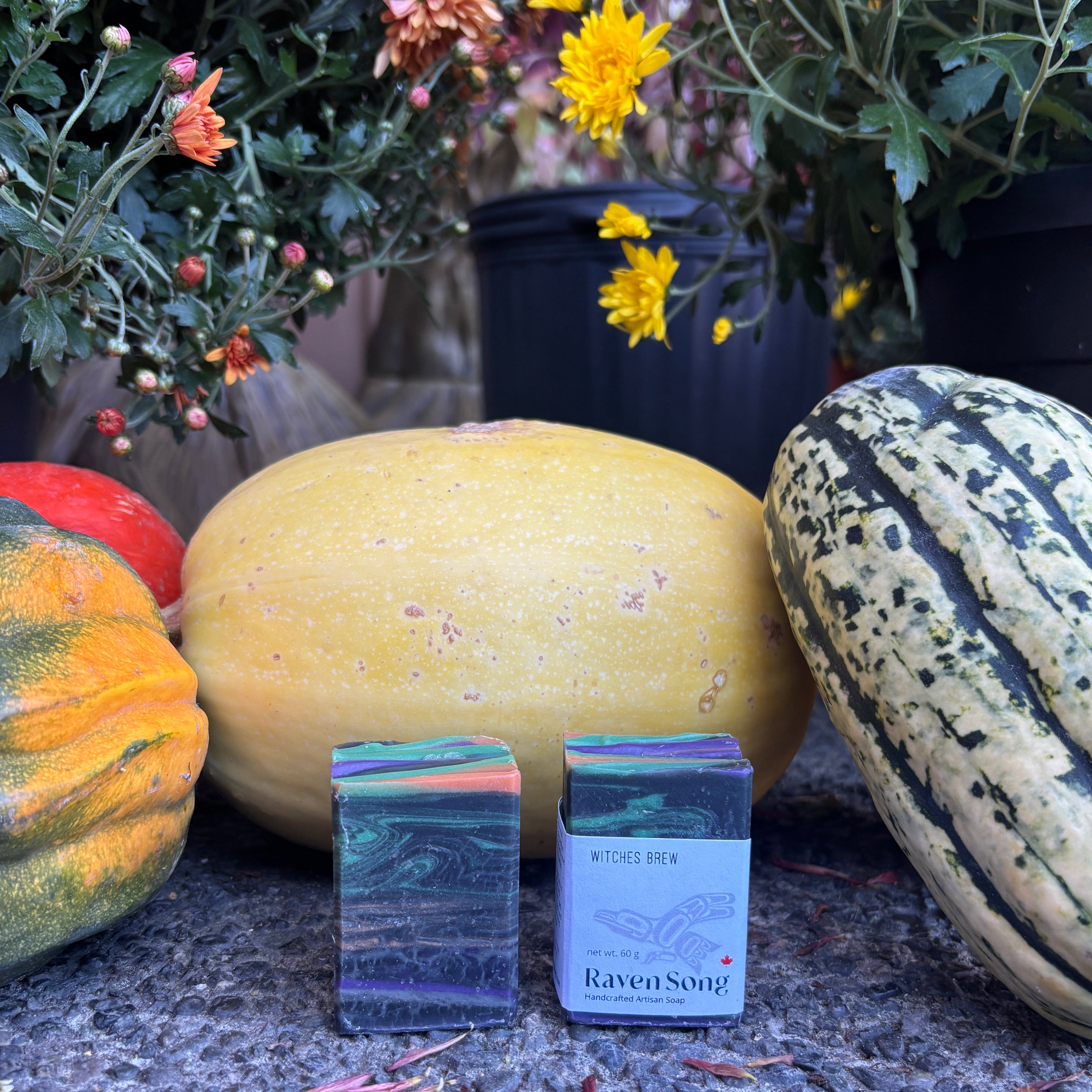 Witches Brew Soap