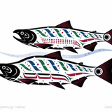 HAIDA SPAWNING SALMON - ART CARD by CLARENCE MILLS