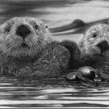 FOR GENERATIONS TO COME -SEA OTTERS - ARTWORK CARD by KEVIN JOHNSON