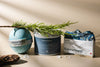 BC Coastal Gift Set from Indigenous-owned spa brand Ravensong