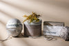 Cowichan Sweater Gift Box from Ravensong Soap and Candle on Vancovuer Island Canada