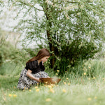 Dandelion Harvesting for Indigenous Soapmaking