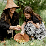Dandelion Harvesting for Indigenous Soapmaking